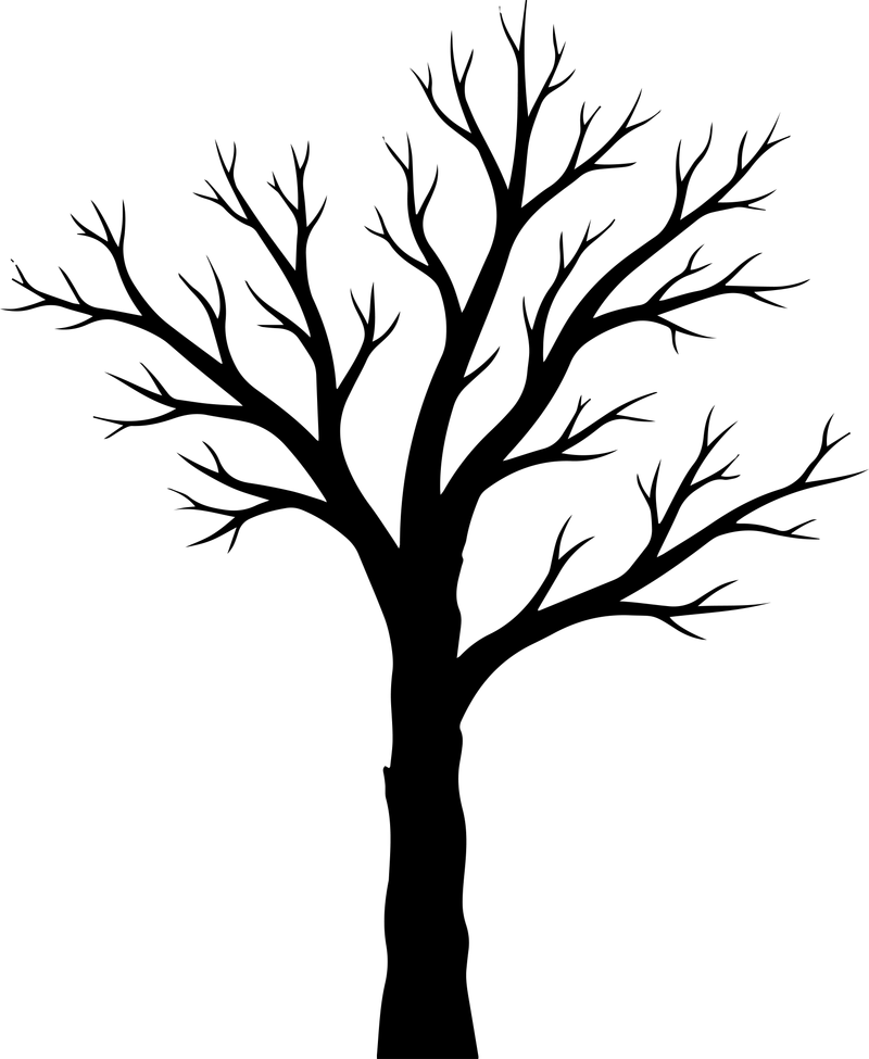 Black silhouette of a bare leafless tree with thin twisting branches