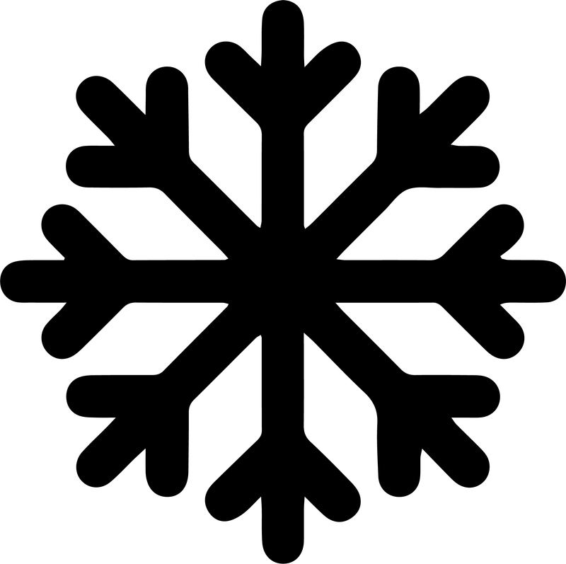 Black silhouette of a bold snowflake with six forked arms