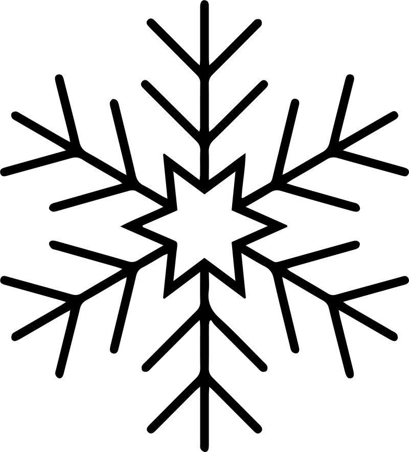 Line art of a thin-line snowflake with curved branches and a star at the center