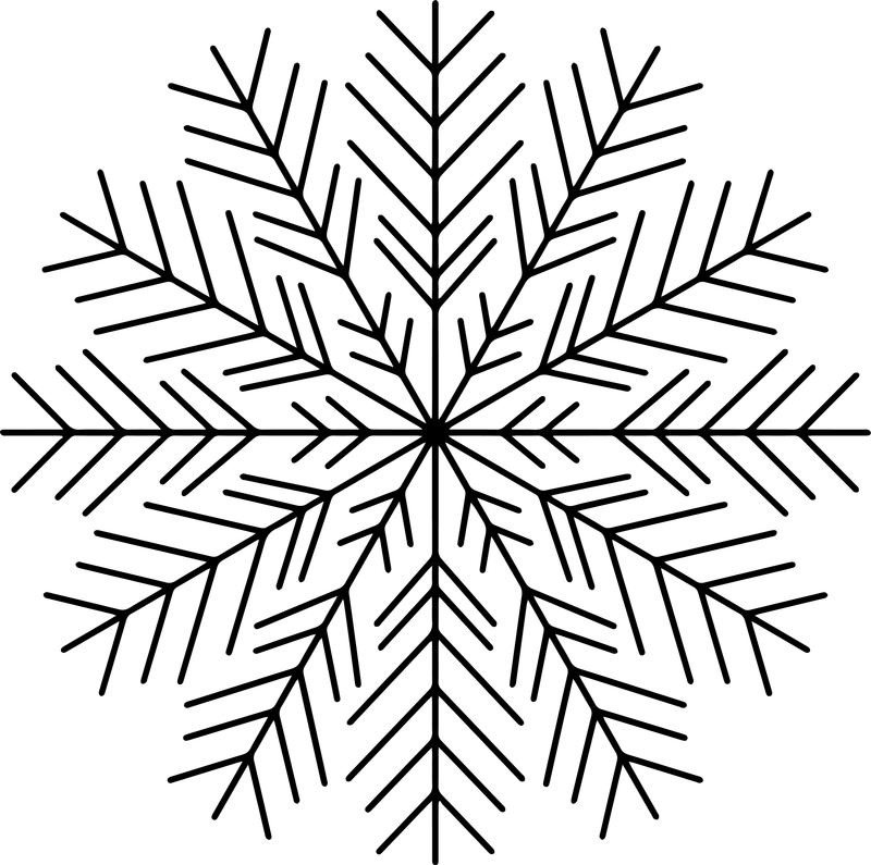 Line art of a fine-line frost snowflake with many thin feathery branches
