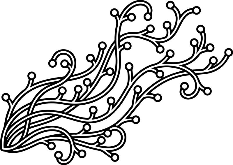 Line art of a flourish of curling vines with round berry buds